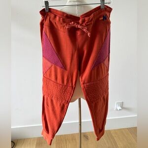 Aviator Nation Pants